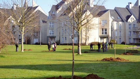 PHOTO : F. DECAENS - VILLE DE CAEN
