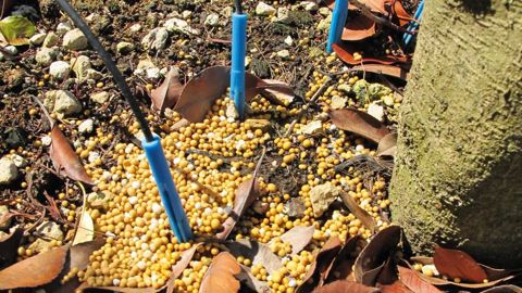 Le règlement en cours de discussion permettrait d'homogénéiser la mise en marché des fertilisants au niveau européen. Il fixe toutefois des critères restrictifs pour les engrais enrobés qui entraîneraient leur interdiction. Ces derniers répondent déjà aux exigences du règlement (CE) nº 2003/2003, mais celles-ci ne concernent pas l'enrobage.