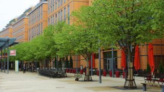 Le quartier de la Cité internationale, à Lyon, a fait l'objet, pendant vingt ans, du suivi expérimental de différentes essences d'arbres dans le cadre du programme Sciencil. Le quartier de la Cité internationale, à Lyon, a fait l'objet, pendant vingt ans, du suivi expérimental de différentes essences d'arbres dans le cadre du programme Sciencil.