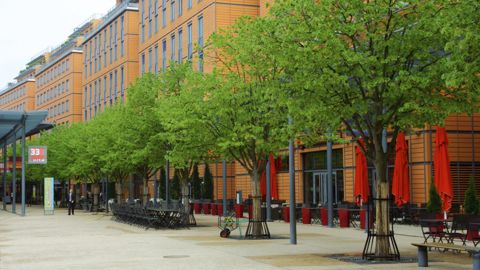 Le quartier de la Cité internationale, à Lyon, a fait l'objet, pendant vingt ans, du suivi expérimental de différentes essences d'arbres dans le cadre du programme Sciencil.