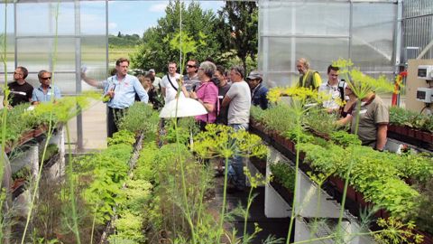 Une conférence et un atelier permettront de faire le point sur une année de pratiques en serre bioclimatique. Ici, présentation de cultures d'aromatiques sous serre Richel en 2013.PHOTO : VALÉRIE VIDRIL