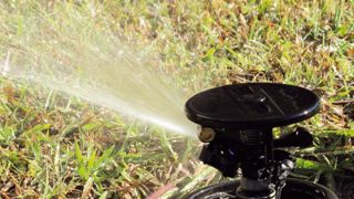 L'irrigation des espaces verts et des jardins ne devrait pas poser de problèmes majeurs : 76 % des réservoirs d'eau présentaient, début mai, un remplissage satisfaisant.