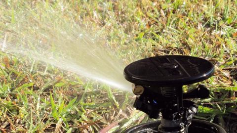 L'irrigation des espaces verts et des jardins ne devrait pas poser de problèmes majeurs : 76 % des réservoirs d'eau présentaient, début mai, un remplissage satisfaisant.