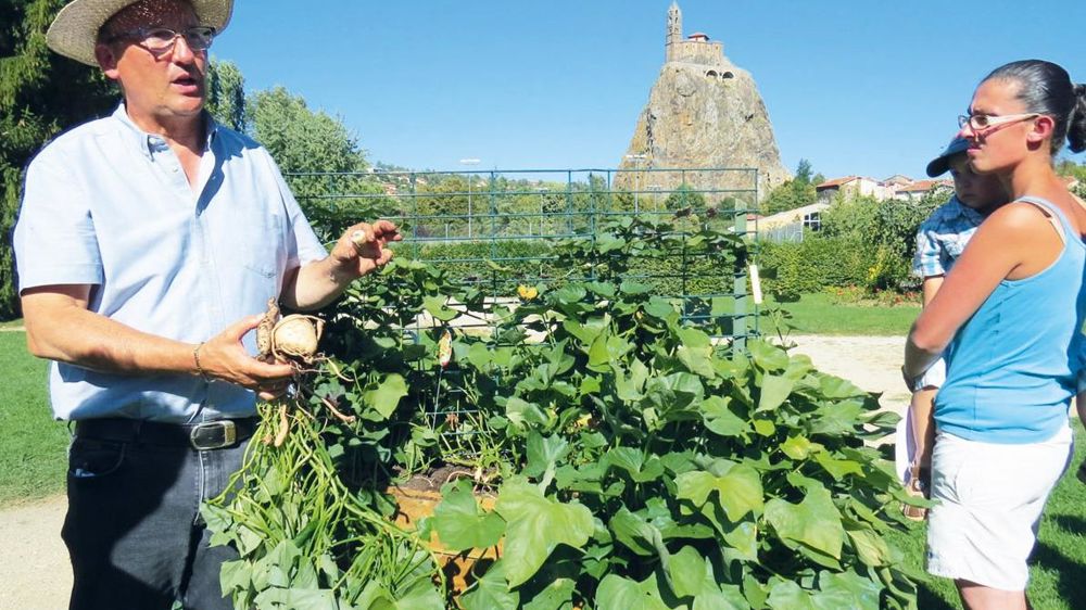 Pierre-Guy Chaniac, commercial pour Graines Voltz, a présenté des associations mêlant vigne, figuier, framboisier, herbes aromatiques... À droite, une représentante des Ets Sioule Végétal, à Chouvigny (03).