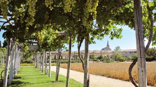 Le jardin romain de Caumont-sur-Durance, Victoire d'argent dans la catégorie des communes de 2 501 à 20 000 habitants en 2010. Le jardin romain de Caumont-sur-Durance, Victoire d'argent dans la catégorie des communes de 2 501 à 20 000 habitants en 2010.