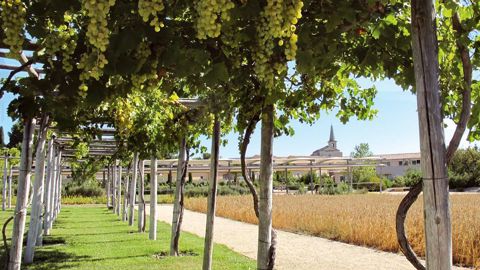 Le jardin romain de Caumont-sur-Durance, Victoire d'argent dans la catégorie des communes de 2 501 à 20 000 habitants en 2010.