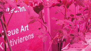 Techn'AU doit permettre de lever les freins de l'agriculture urbaine. En France et dans le monde, de nombreux projets à fort degré de technicité et d'innovation émergent, comme les cultures sous éclairage artificiel. Techn'AU doit permettre de lever les freins de l'agriculture urbaine. En France et dans le monde, de nombreux projets à fort degré de technicité et d'innovation émergent, comme les cultures sous éclairage artificiel.