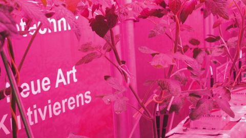 Techn'AU doit permettre de lever les freins de l'agriculture urbaine. En France et dans le monde, de nombreux projets à fort degré de technicité et d'innovation émergent, comme les cultures sous éclairage artificiel.