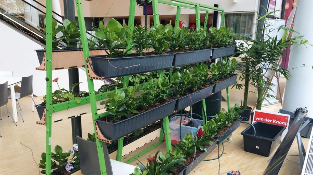 Powerplant, présenté par le Wellantcollege de Delft, a été primé au concours « La meilleure idée du Plantarium » dans la catégorie « étudiant » : ce mur végétal est capable de fournir assez d'énergie pour recharger un smartphone.
