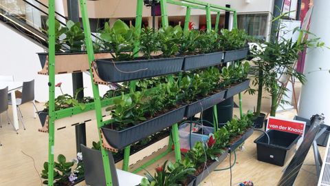 Powerplant, présenté par le Wellantcollege de Delft, a été primé au concours « La meilleure idée du Plantarium » dans la catégorie « étudiant » : ce mur végétal est capable de fournir assez d'énergie pour recharger un smartphone.