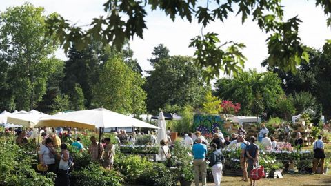 La Folie des Plantes de Nantes a attiré plus de 40 000 visiteurs, une référence alors que le concept de foires aux plantes stagne dans bien des régions.