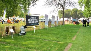 Le jardin de l'Espace Conseils de Salonvert présentait une zone dédiée aux espèces de gazon, mais aussi une partie réservée à la gestion des cimetières et une autre consacrée au jardin connecté.