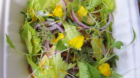 Sur le salon Aquiflor, les visiteurs ont pu savourer des yeux et des papilles des plats agrémentés de fleurs comestibles.PHOTO : VALERIE VIDRIL