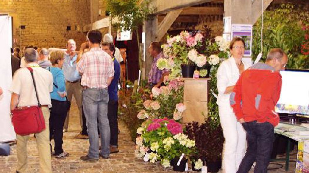 PHOTO : HORTI PÉPI PHOTO : HORTI PÉPI