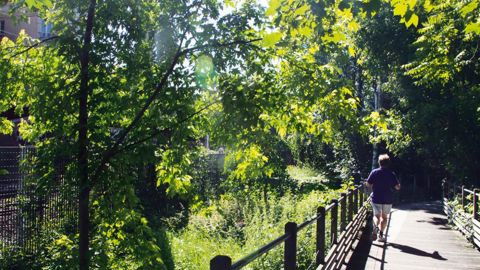 Il existe aujourd'hui une volonté forte, en Île-de-France, de prise en compte de la place de la nature en ville. Mais cette nature devra s'adapter aux changements climatiques...