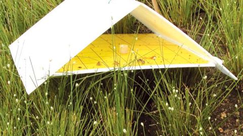 PHOTO : VALÉRIE VIDRIL