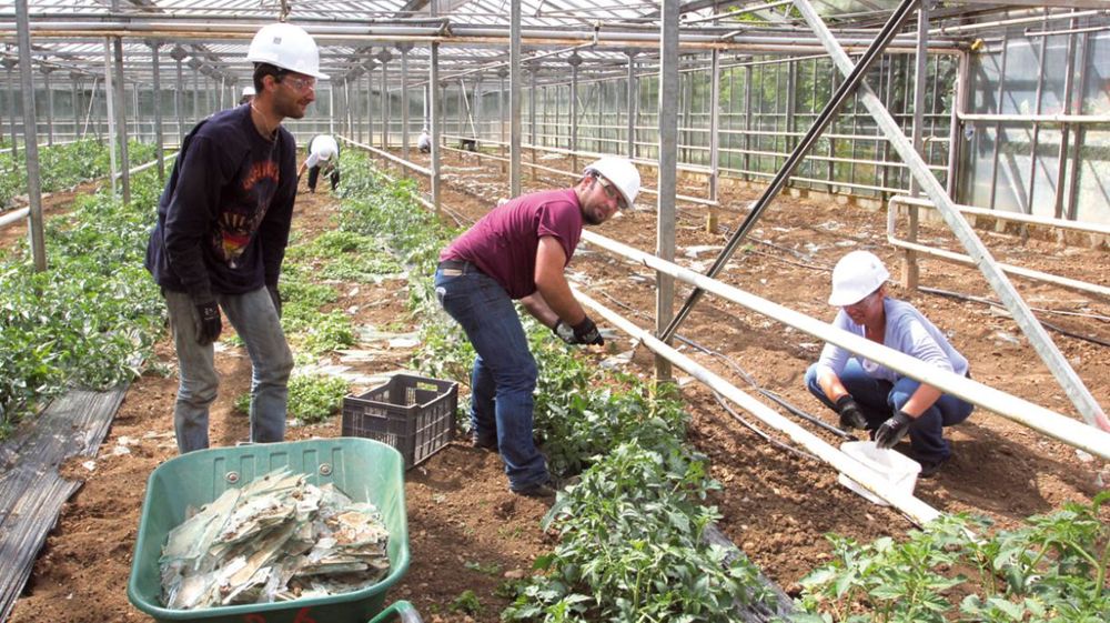 Dans le secteur de Cornay, plusieurs producteurs en maraîchage et en pépinière de jeunes plants, entre autres, ont été touchés par la vague d'orages et de grêle qui s'est abattue sur la région lors du week-end de la Pentecôte. À l'heure du bilan et de la remise en état, de nombreux volontaires sont venus leur prêter main forte.PHOTOS : CAAHMRO Dans le secteur de Cornay, plusieurs producteurs en maraîchage et en pépinière de jeunes plants, entre autres, ont été touchés par la vague d'orages et de grêle qui s'est abattue sur la région lors du week-end de la Pentecôte. À l'heure du bilan et de la remise en état, de nombreux volontaires sont venus leur prêter main forte.PHOTOS : CAAHMRO