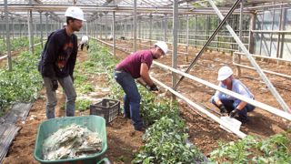 Dans le secteur de Cornay, plusieurs producteurs en maraîchage et en pépinière de jeunes plants, entre autres, ont été touchés par la vague d'orages et de grêle qui s'est abattue sur la région lors du week-end de la Pentecôte. À l'heure du bilan et de la remise en état, de nombreux volontaires sont venus leur prêter main forte.PHOTOS : CAAHMRO