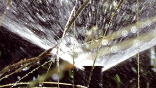 PHOTO : VALÉRIE VIDRIL PHOTO : VALÉRIE VIDRIL