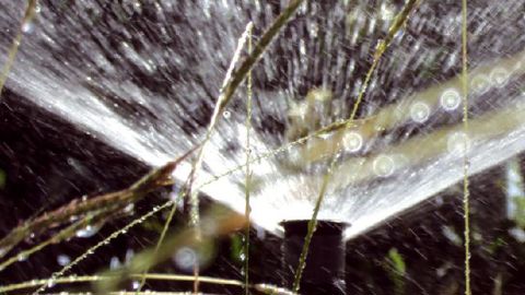 PHOTO : VALÉRIE VIDRIL