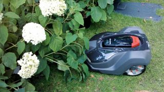 Un robot de tonte à l'oeuvre au sein du l'Espace Conseils dans le cadre de la dernière édition de Salonvert. Et même si le jardin est moins connecté que d'autres secteurs, les possibilités offertes vont d'ores-et-déjà bien au-delà des tondeuses autonomes.