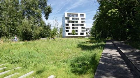 Le quartier de la Courrouze à Rennes (35) est emblématique de la gestion écologique de la ville, récompensée par le label Capitale française de la biodiversité. PHOTO : GILLES LECUIR