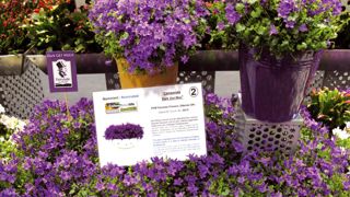 Sur le stand d'une entreprise danoise, à l'occasion de la dernière édition du salon IPM, à Essen, en Allemagne, en janvier. Sur le stand d'une entreprise danoise, à l'occasion de la dernière édition du salon IPM, à Essen, en Allemagne, en janvier.