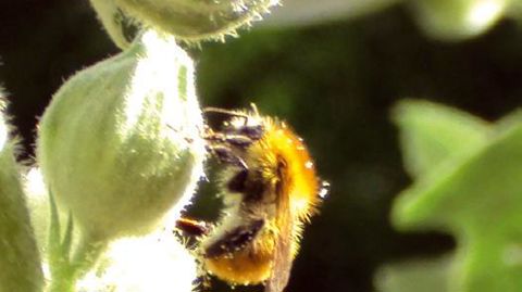 PHOTO : VALÉRIE VIDRIL