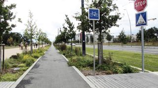 L'atelier « bonnes pratiques de plantation des arbres urbains » de Salonvert visera à proposer des démonstrations de plantation commentées et à répondre aux questions des visiteurs.