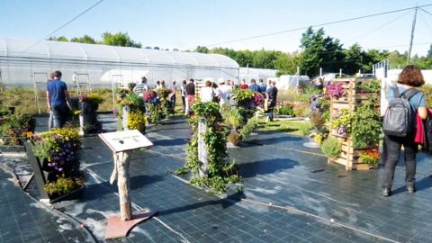 Essais de productions hors-sol sur des tours de culture, avec comparaison de substrats, de contenants, de supports, de plantes, d'origines...