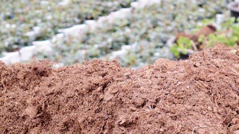 Un cahier des charges décrit les conditions nécessaires, et la procédure, permettant à un prestataire de service d'effectuer le mélange de MFSC avec des produits phytopharmaceutiques autorisés.