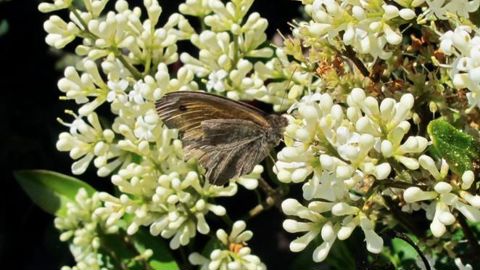 PHOTO : VALÉRIE VIDRIL