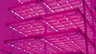 Avec ses 10 m de hauteur et ses 10 niveaux, Jard'In dispose d'une surface de culture de 144 m² pour une empreinte au sol de seulement 43 m².PHOTO : FLORENTAISE