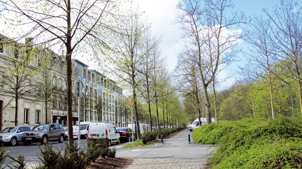 Les prochaines Assises du fleurissement de la région Centre valoriseront la place de l'arbre dans le fleurissemnent des collectivités. Les prochaines Assises du fleurissement de la région Centre valoriseront la place de l'arbre dans le fleurissemnent des collectivités.