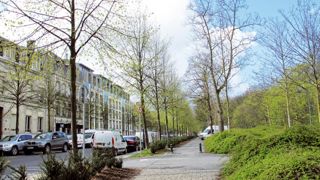 Les prochaines Assises du fleurissement de la région Centre valoriseront la place de l'arbre dans le fleurissemnent des collectivités. Les prochaines Assises du fleurissement de la région Centre valoriseront la place de l'arbre dans le fleurissemnent des collectivités.