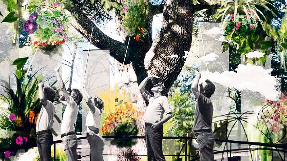 Seve s'est notamment fixé comme objectif de démontrer que tout le monde peut cultiver son jardin et que tous les espaces peuvent accueillir un jardin... Seve s'est notamment fixé comme objectif de démontrer que tout le monde peut cultiver son jardin et que tous les espaces peuvent accueillir un jardin...