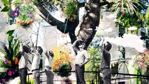 Seve s'est notamment fixé comme objectif de démontrer que tout le monde peut cultiver son jardin et que tous les espaces peuvent accueillir un jardin...