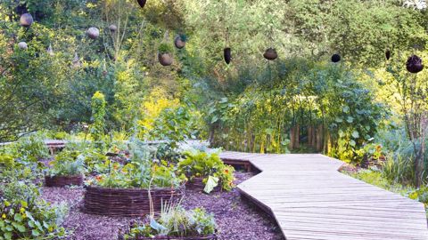 « Jardins des cimes » évoque la problématique de la présence accrue de ligneux sur les îles en l'absence d'entretien régulier.