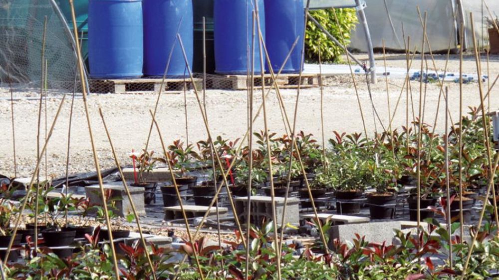 Tout en continuant d'être un outil technique au service des producteurs, le réseau Astredhor vise un élargissement de ses domaines d'activité et une ouverture vers l'aval de la filière. Objectif : devenir un « institut des métiers de l'économie verte ».PHOTO : VALÉRIE VIDRIL