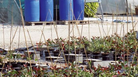 Tout en continuant d'être un outil technique au service des producteurs, le réseau Astredhor vise un élargissement de ses domaines d'activité et une ouverture vers l'aval de la filière. Objectif : devenir un « institut des métiers de l'économie verte ».PHOTO : VALÉRIE VIDRIL