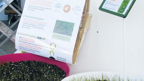 À Salonvert, Compo a présenté deux semis de gazon, l'un réalisé avec des semences classiques, l'autre (à droite), réalisé avec Activ BS, qui montre une meilleure levée et une plus grande densité des graminées. 