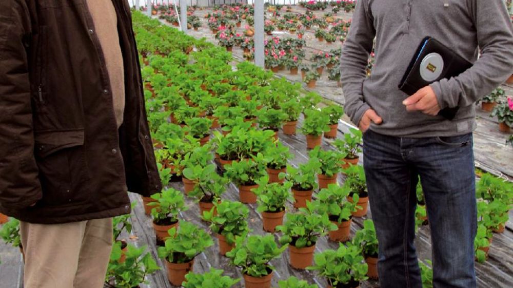 Participer au projet d'expérimentation permet à Lionel Chauvin (à droite) de bénéficier de multiples compétences, comme celles de Gérard Chassériaux, d'Agrocampus Ouest-Centre d'Angers. Participer au projet d'expérimentation permet à Lionel Chauvin (à droite) de bénéficier de multiples compétences, comme celles de Gérard Chassériaux, d'Agrocampus Ouest-Centre d'Angers.