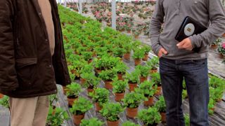 Participer au projet d'expérimentation permet à Lionel Chauvin (à droite) de bénéficier de multiples compétences, comme celles de Gérard Chassériaux, d'Agrocampus Ouest-Centre d'Angers.