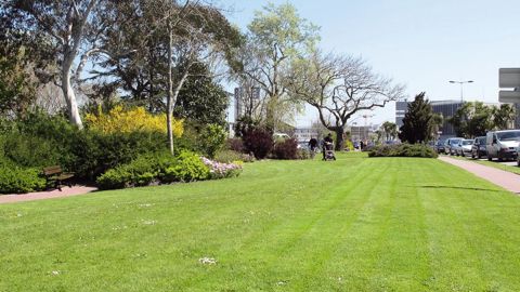 Finesse du feuillage, résistance au piétinement et aux maladies, comportement estival... Le nouveau site internet www.choixdugazon.org permet de choisir les meilleures variétés en fonction de leur usage.