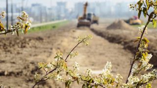 De la zone la plus périurbaine au coeur de ville, quelle est la place pour le produit horticole dans les aménagements ? Telle est la question que se poseront les adhérents d'Hortis, à Lorient. De la zone la plus périurbaine au coeur de ville, quelle est la place pour le produit horticole dans les aménagements ? Telle est la question que se poseront les adhérents d'Hortis, à Lorient.