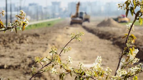 De la zone la plus périurbaine au coeur de ville, quelle est la place pour le produit horticole dans les aménagements ? Telle est la question que se poseront les adhérents d'Hortis, à Lorient.