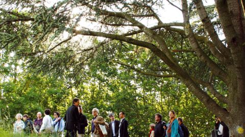 Une soixantaine d'adhérents de la FFP ont participé à l'assemblée générale, les 8 et 9 juin à Cergy-Pontoise. L'occasion de travailler ensemble et de visiter diverses réalisations paysagères.PHOTO : MARTIN SIROT, FFP