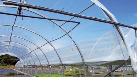 L'exploitation Fleurs des 7 îles fait appel aux différents usages du plastique au profit d'une démarche de développement durable.