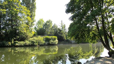 La conférence organisée par l'AFPP a mis en avant les stratégies développées par les gestionnaires confrontés aux invasions biologiques, dans un contexte de diminution des solutions de traitement, ainsi que l'avancée des recherches.
