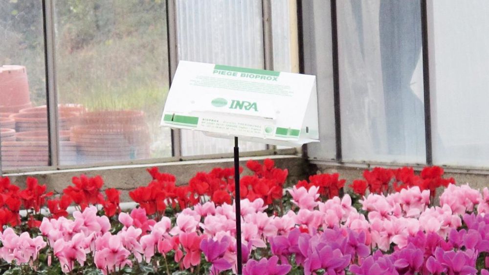 Produits de biocontrôle mais aussi connaissances agronomiques, nouvelles variétés et agroéquipements sont des axes de recherche pour limiter les traitements. Produits de biocontrôle mais aussi connaissances agronomiques, nouvelles variétés et agroéquipements sont des axes de recherche pour limiter les traitements.